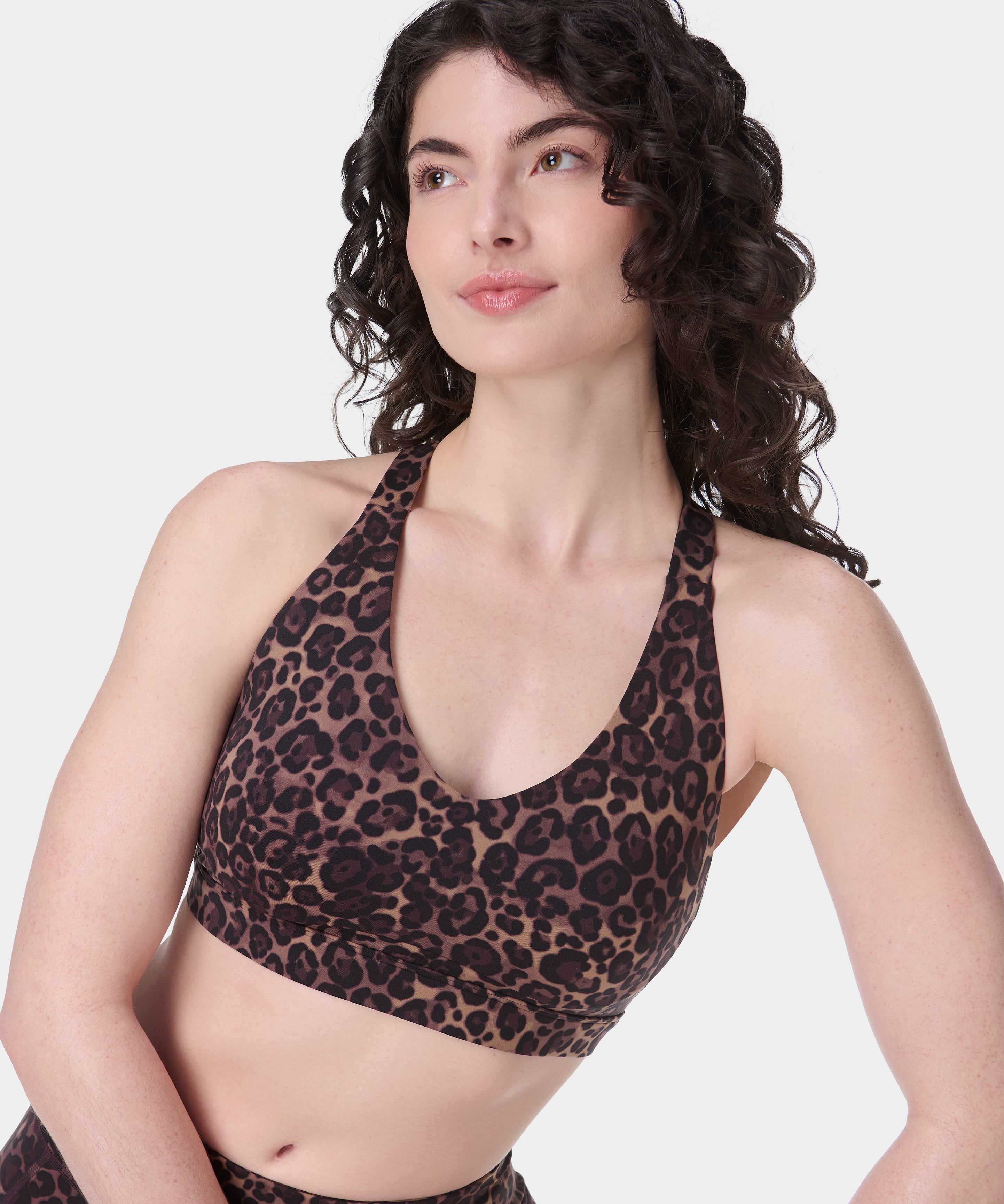 sb10044_brownwildleopardprint.jpg