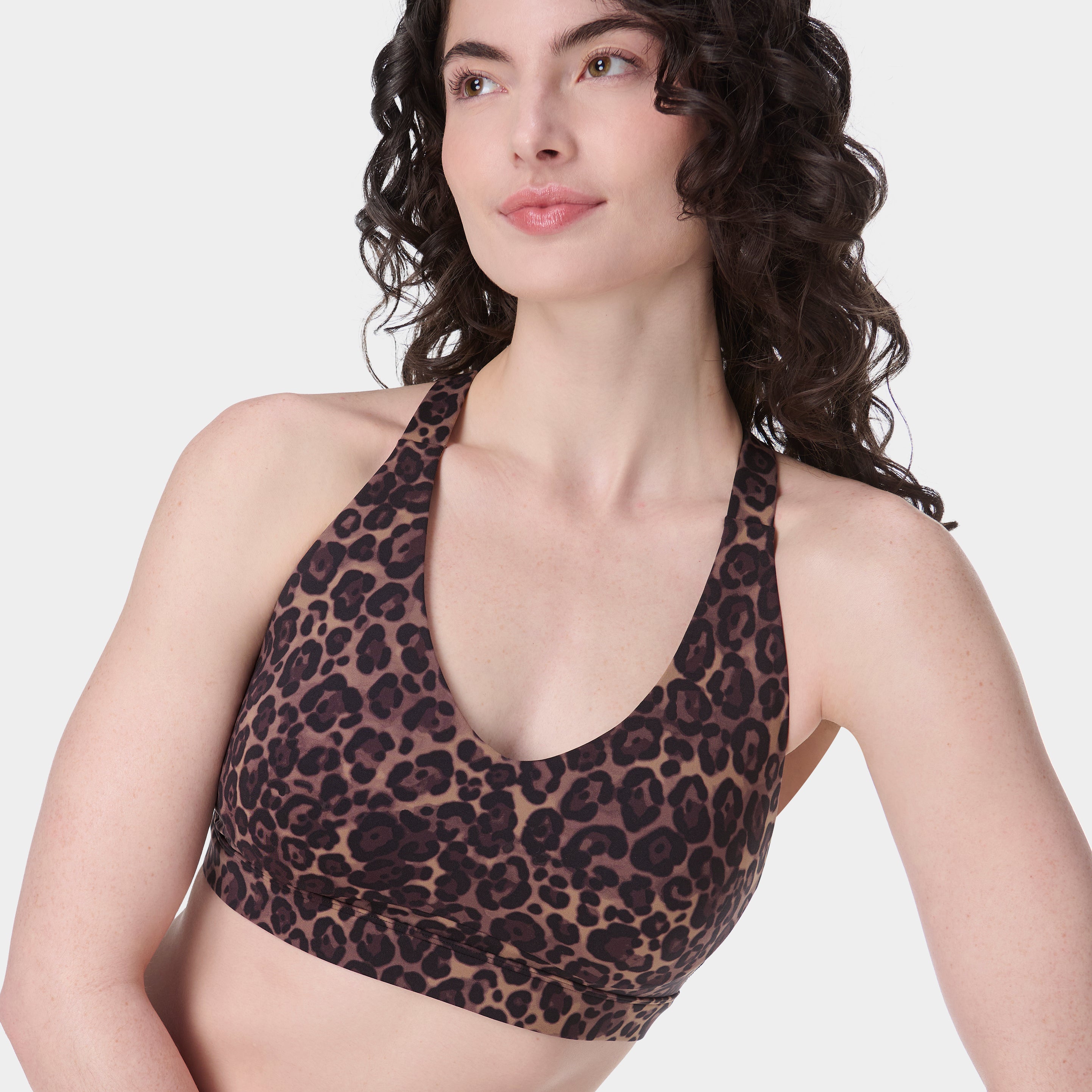 sb10044_brownwildleopardprint.jpg