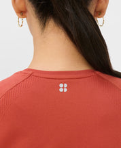 Athlete Crop Seamless Workout T-Shirt