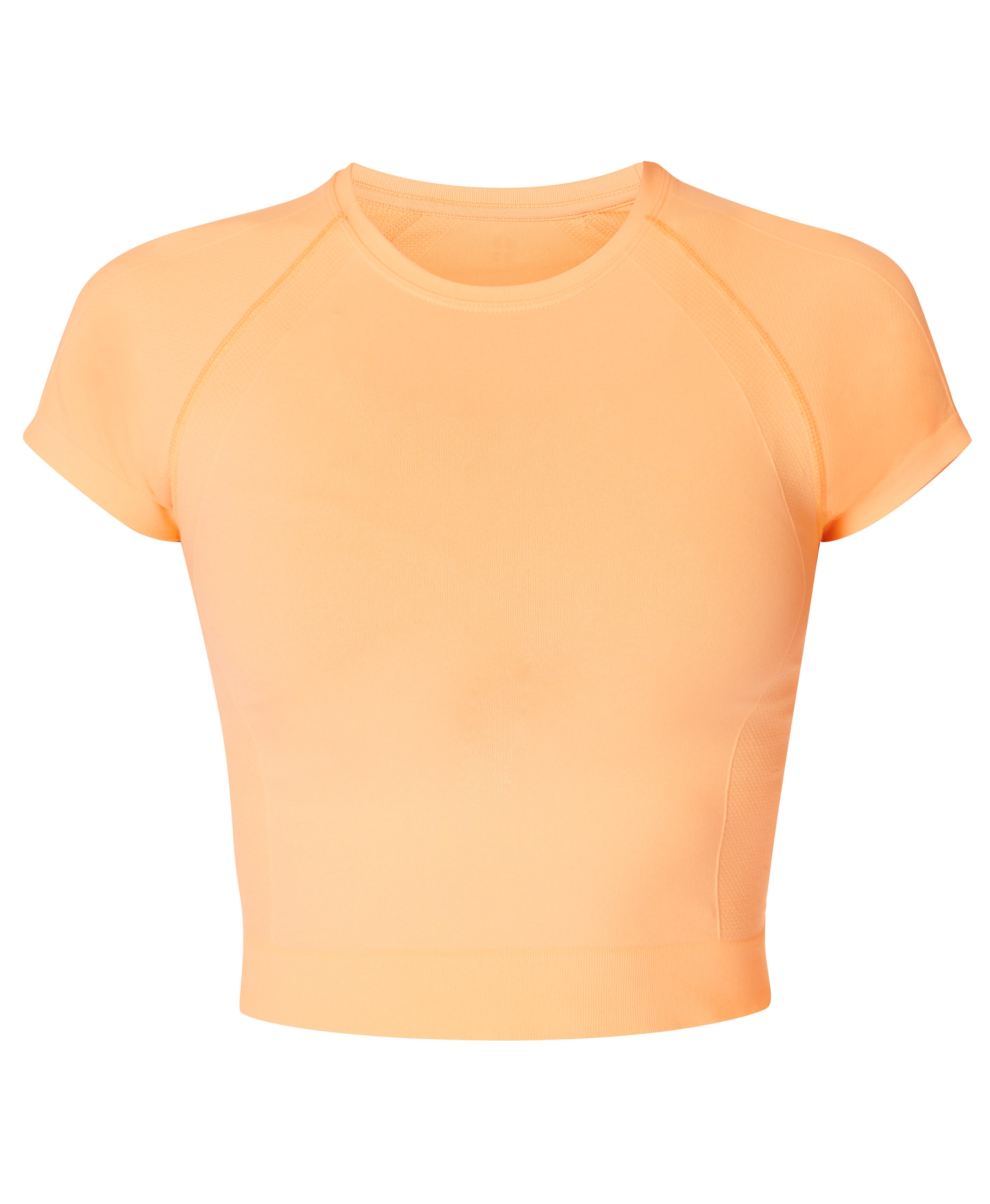 Athlete Crop Seamless Workout T-Shirt